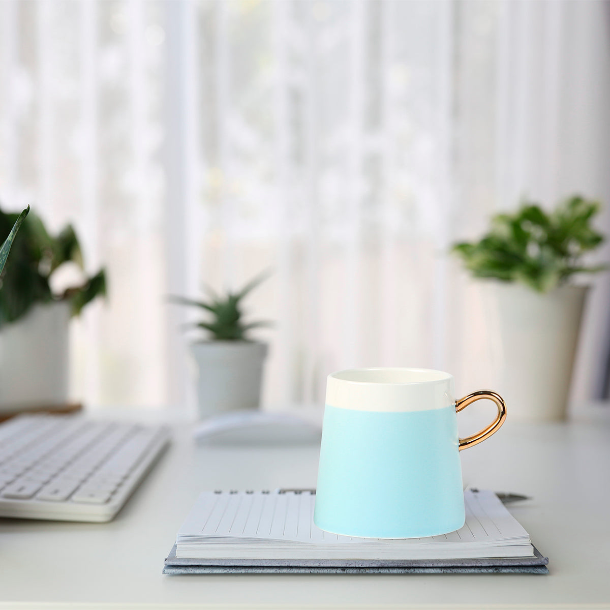 Taza Aveiro.
